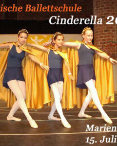 2008Cinderella