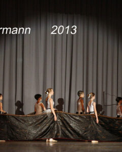 2013 Gundermann 2013