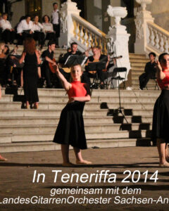 2014 LGO Teneriffa